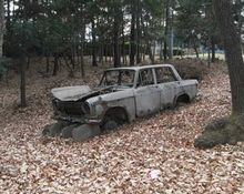 廃車